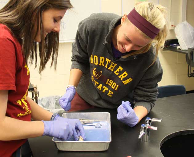 Two students work in a lab