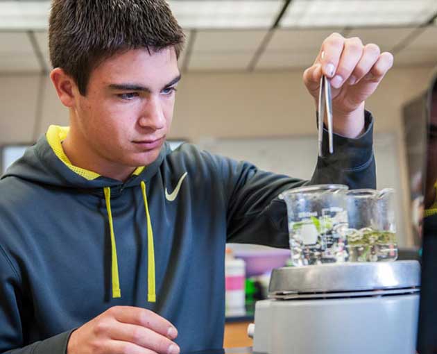 A student in a blue shirt fills a receptacle with liquid from a dropper
