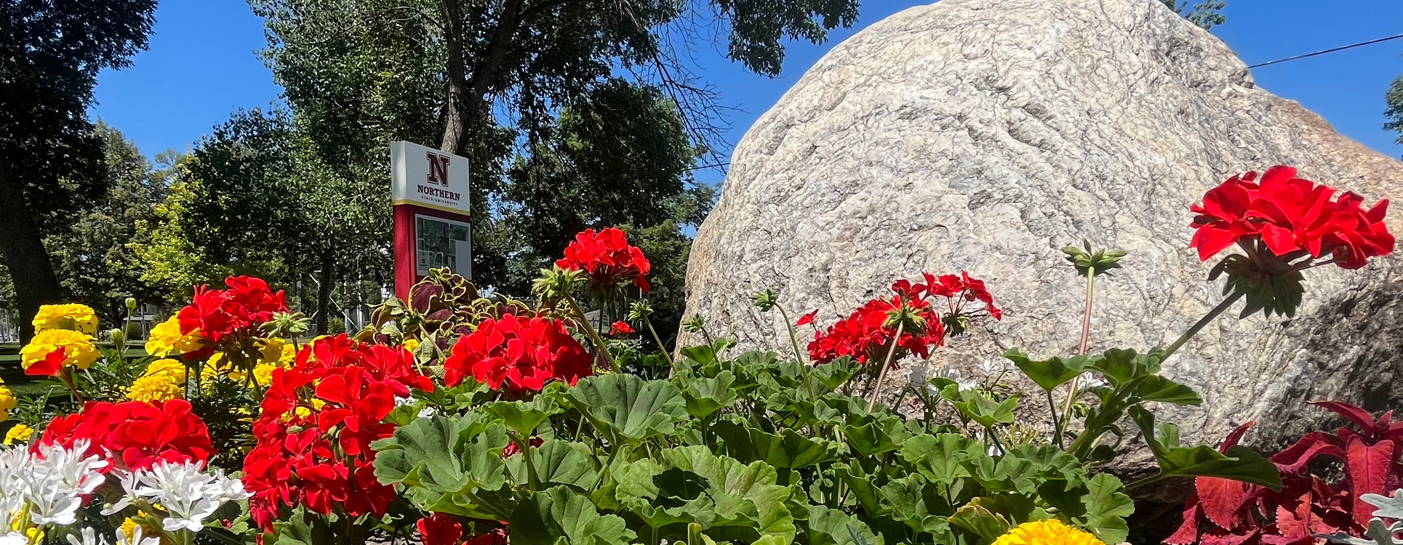 Photo of campus landscape displaying trees and flowers.