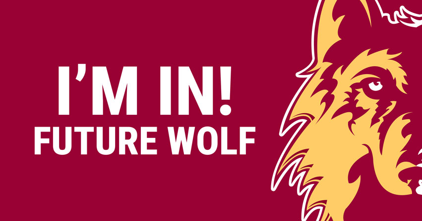 Social Media Cover Image 2