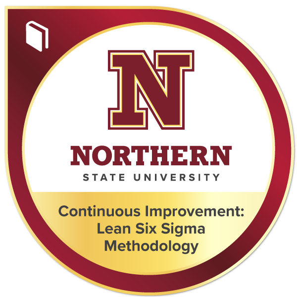 Continuous Improvement: Lean Six Sigma Methodology