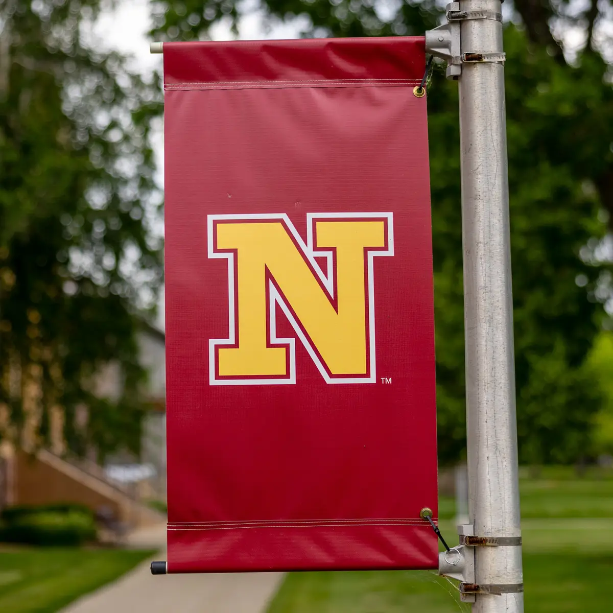 Maroon Pole Banner with Northern's N logo in gold color