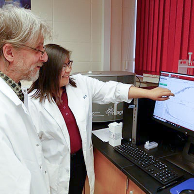 Faculty and student viewing data on computer screen