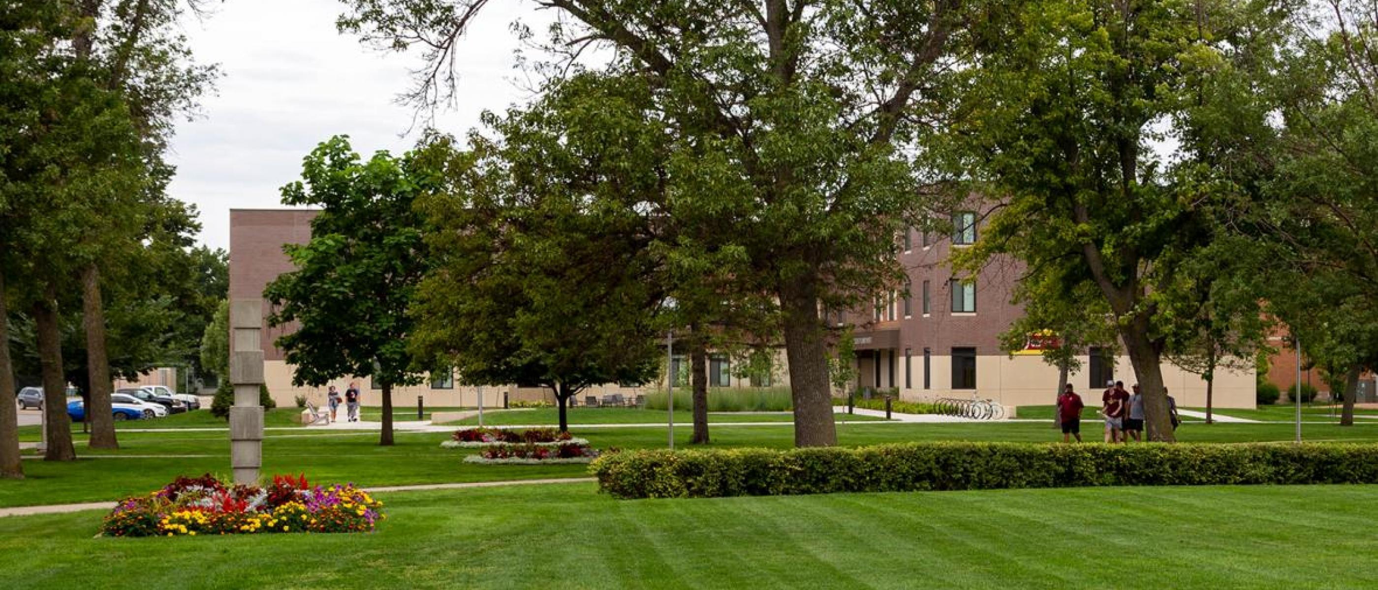 NSU Campus Green