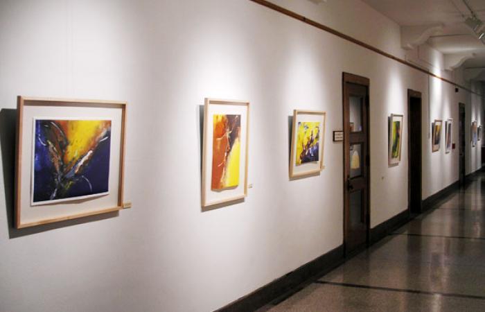 Art displayed in president's gallery