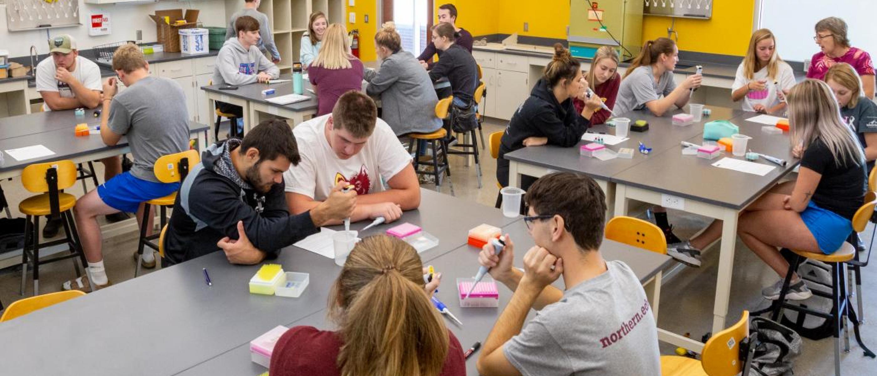 Students work in a Northern science lab