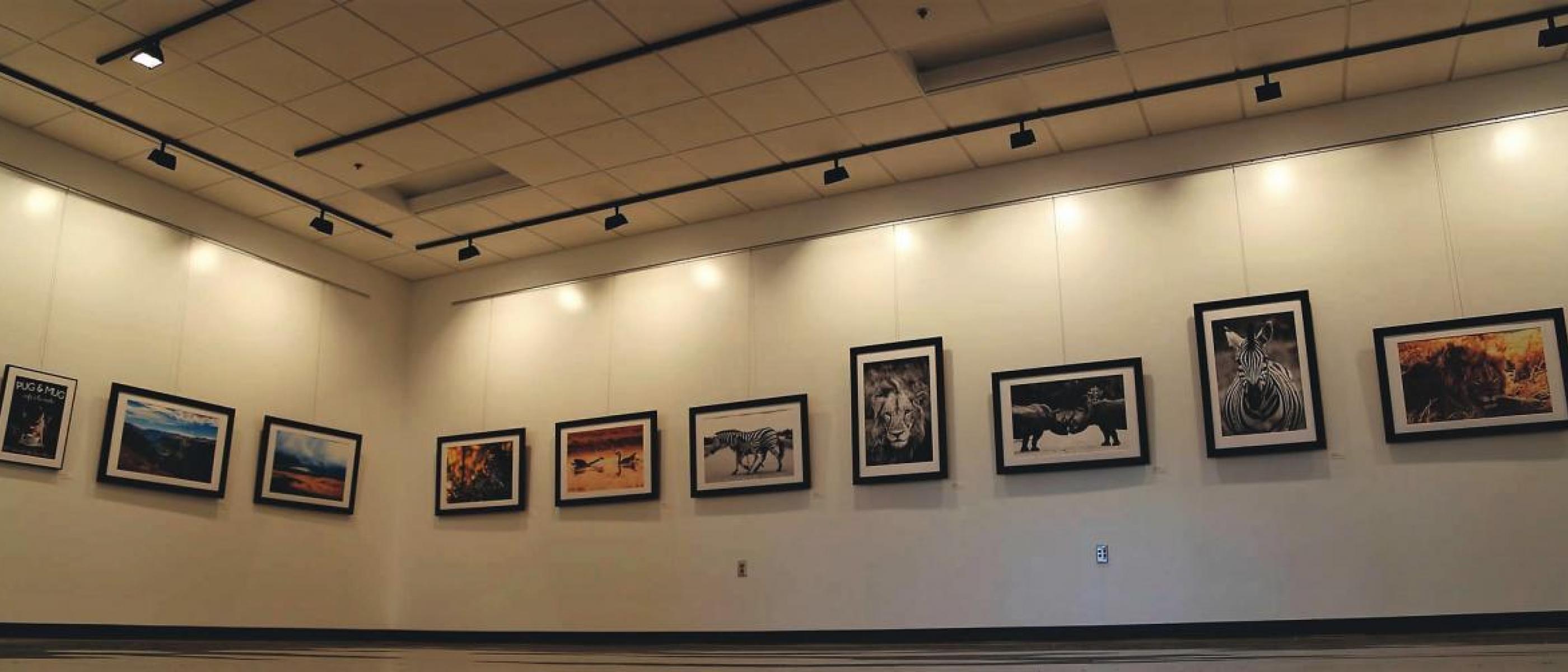 Art display in gallery