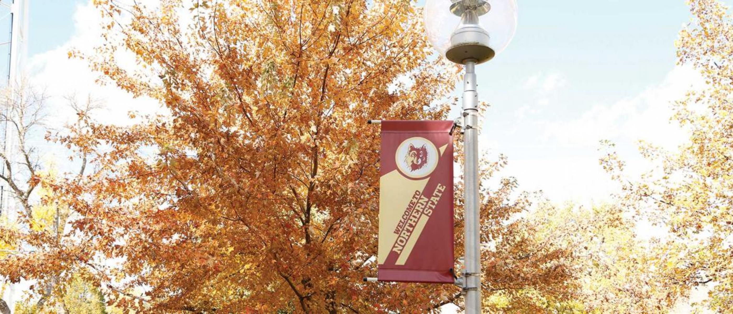 Tree with autumn orange leaves and NSU flag