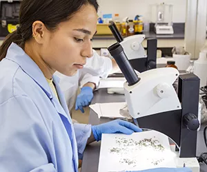 A blue-gowned student works in a lab