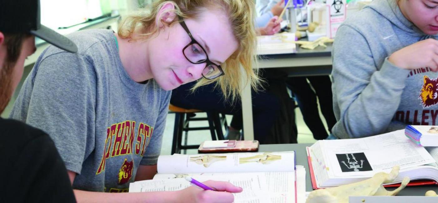Students working on anatomy homework together in class