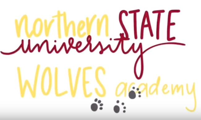 Image with NSU Wolves Academy logo