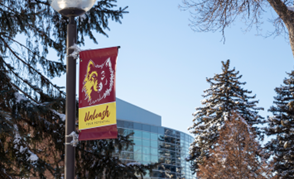 Closeup of a Northern Wolf banner on a snowy NSU campus