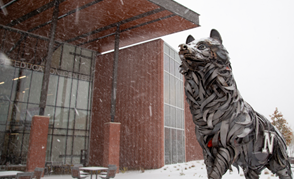 Snowy campus photo of the science center and wolf statue