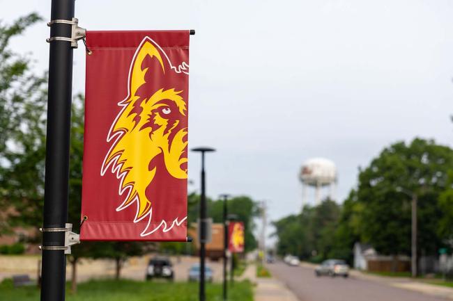 wolf flag
