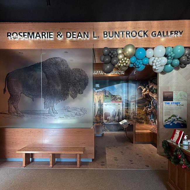 rosemarie & dean l. Buntrock gallery